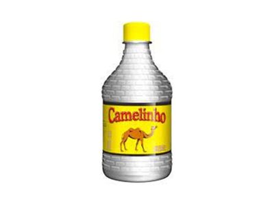 CAMELINHO CARVALHO
